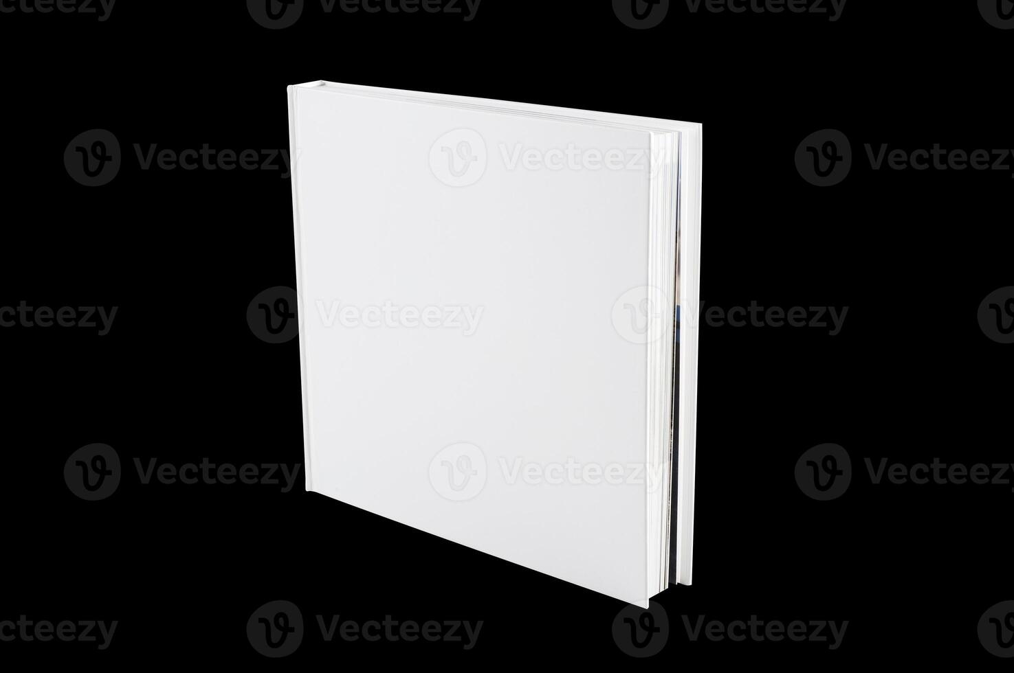 Mockup of the book photo