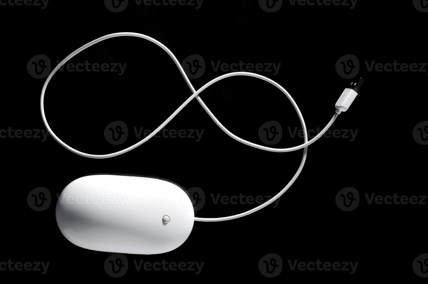The white mouse for the computer photo