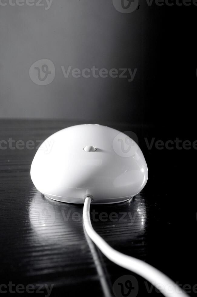 The white mouse for the computer photo