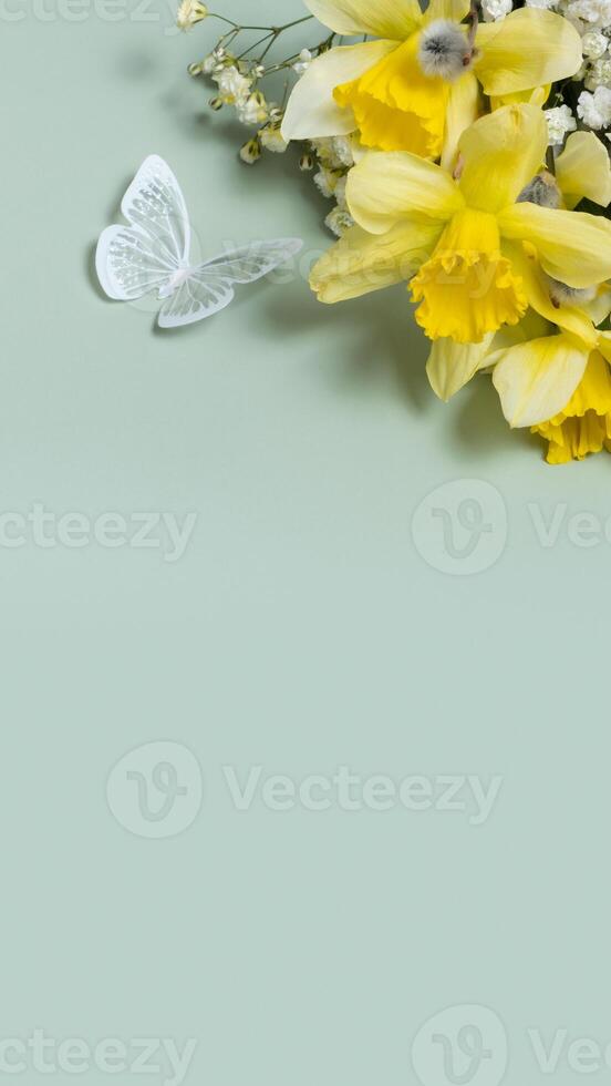 Daffodils, butterfly, easter eggs and willow on green background with copy space. Easter greeting card template photo