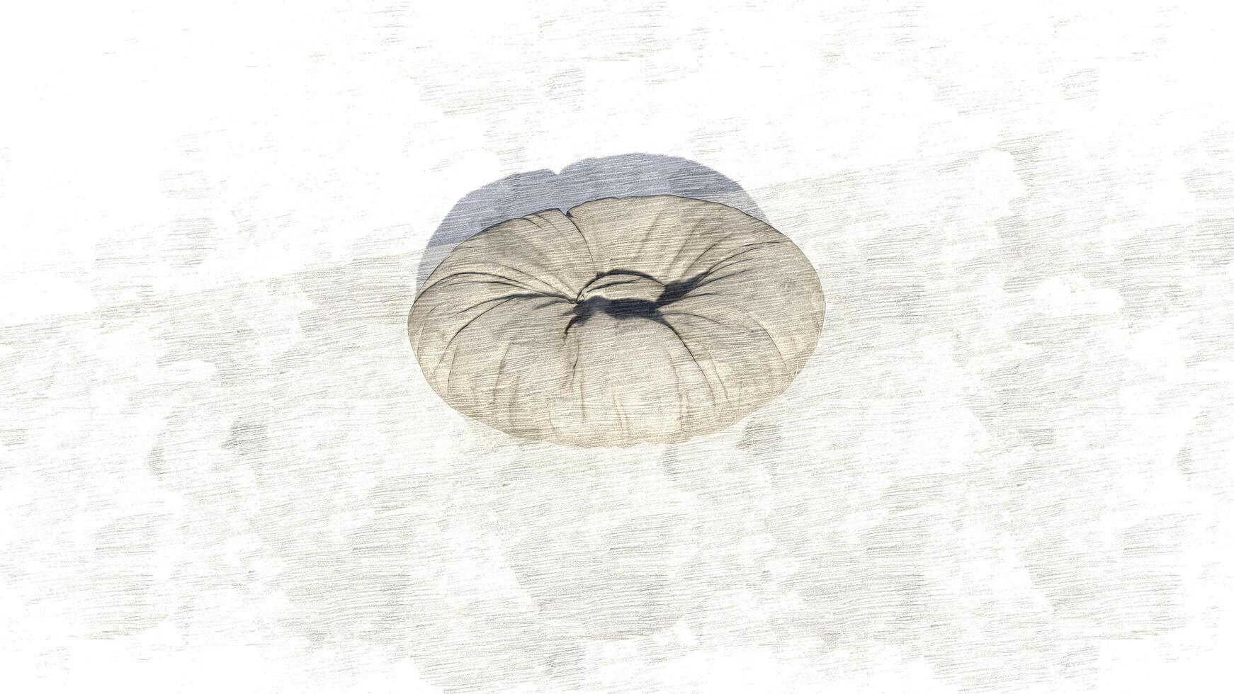 3d rendering round beanbag on sketch photo