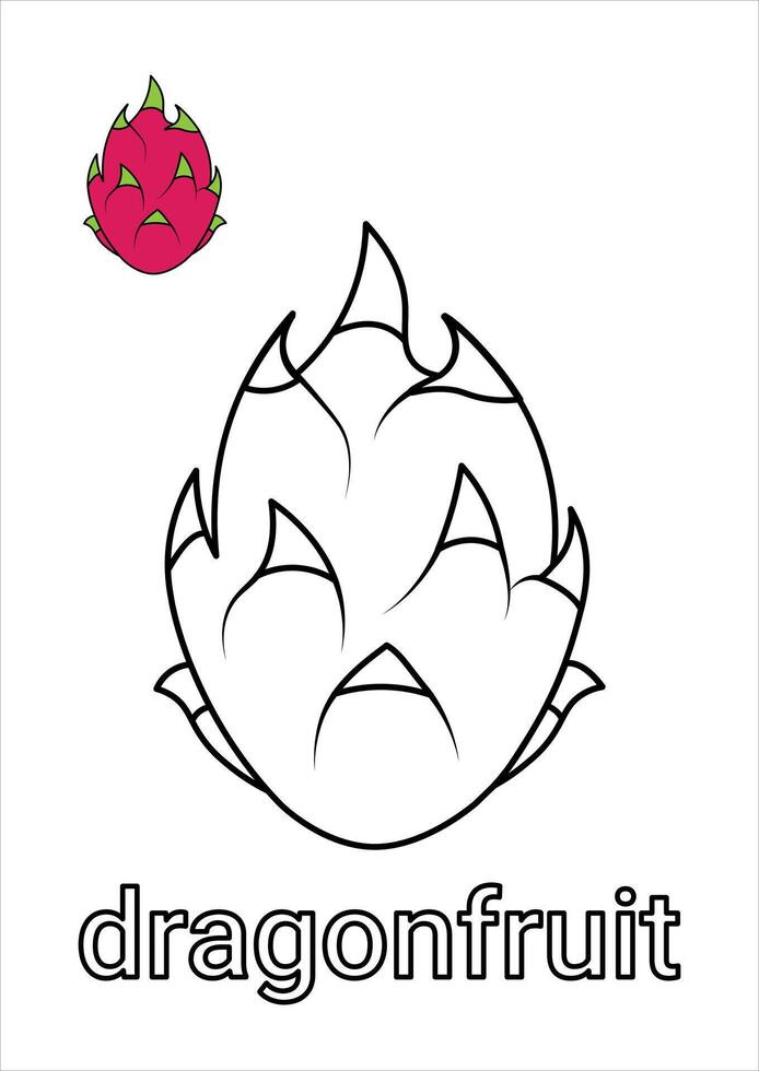 Dragon Fruit Coloring Page for Kids vector