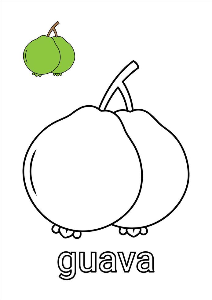 Guava Coloring Page for Kids vector