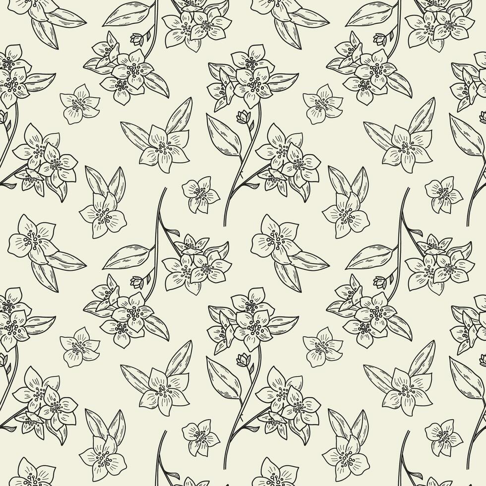 Jasmine flower ink sketch hand drawn seamless pattern illustration. Repeating background with jasmine plant, leaf, petal. For Herbal green tea, beauty, aroma. Design for label, card, textile vector