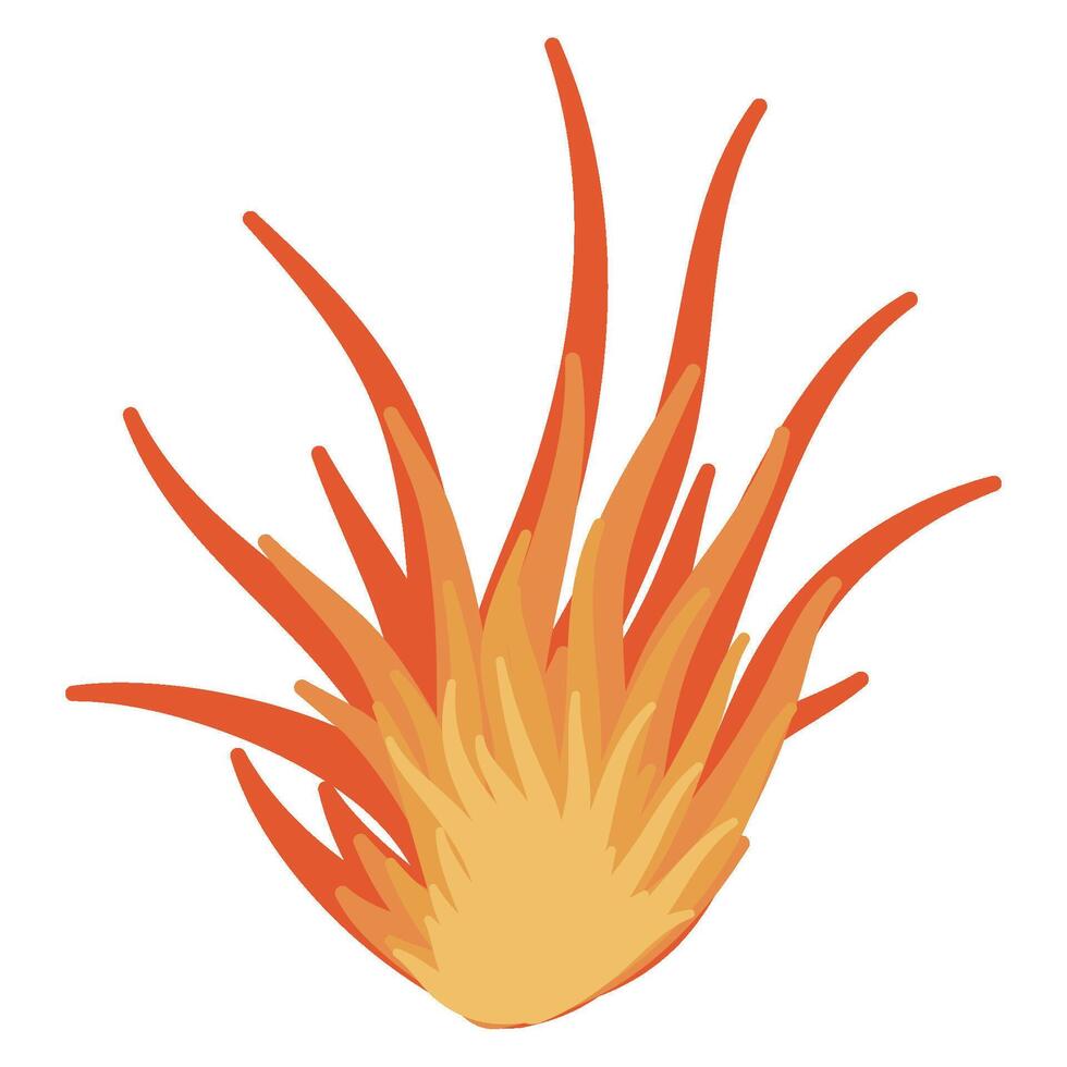 Illustration of fire vector