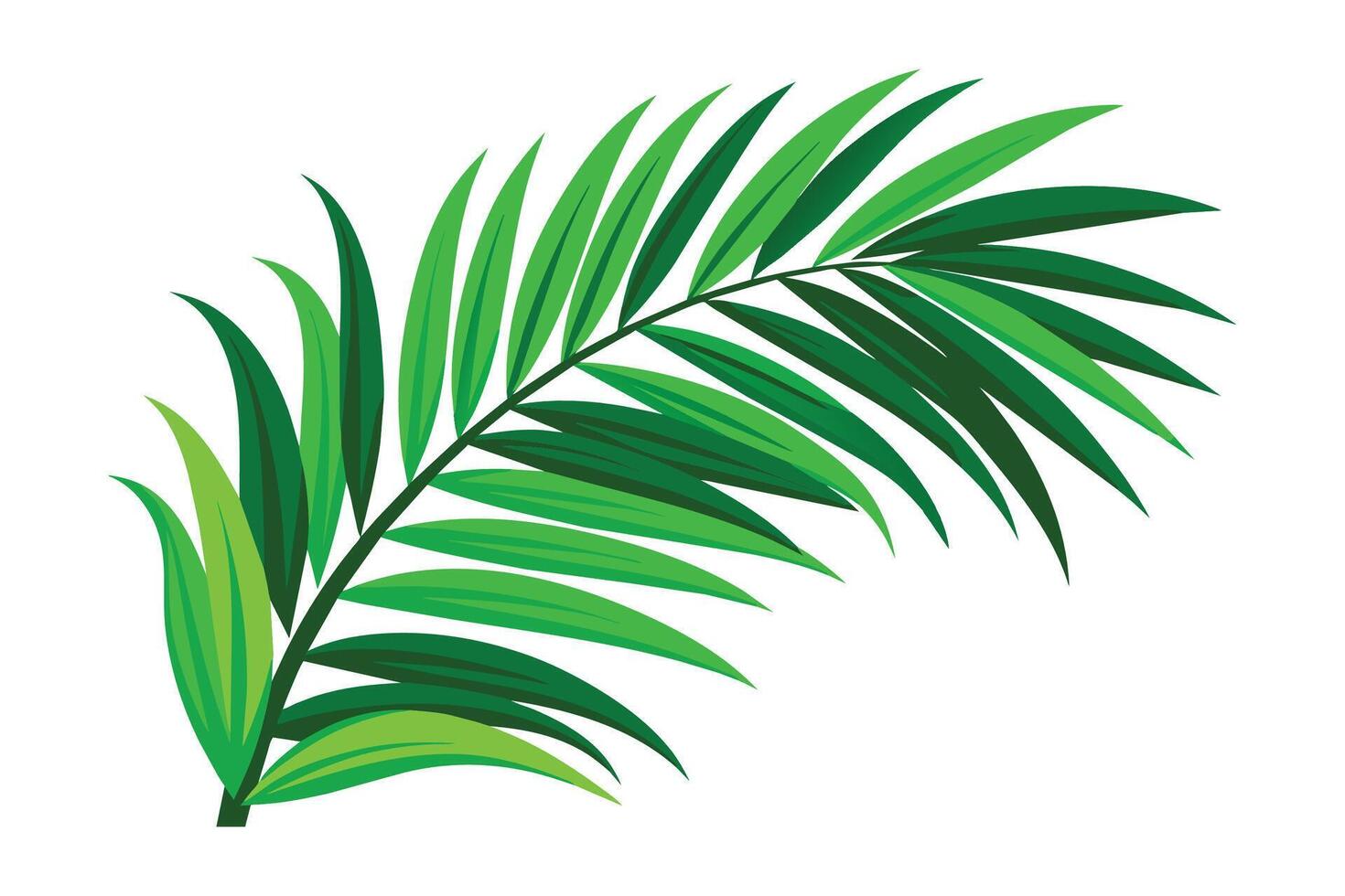 Green palm leaves realistic corner, flat illustration vector