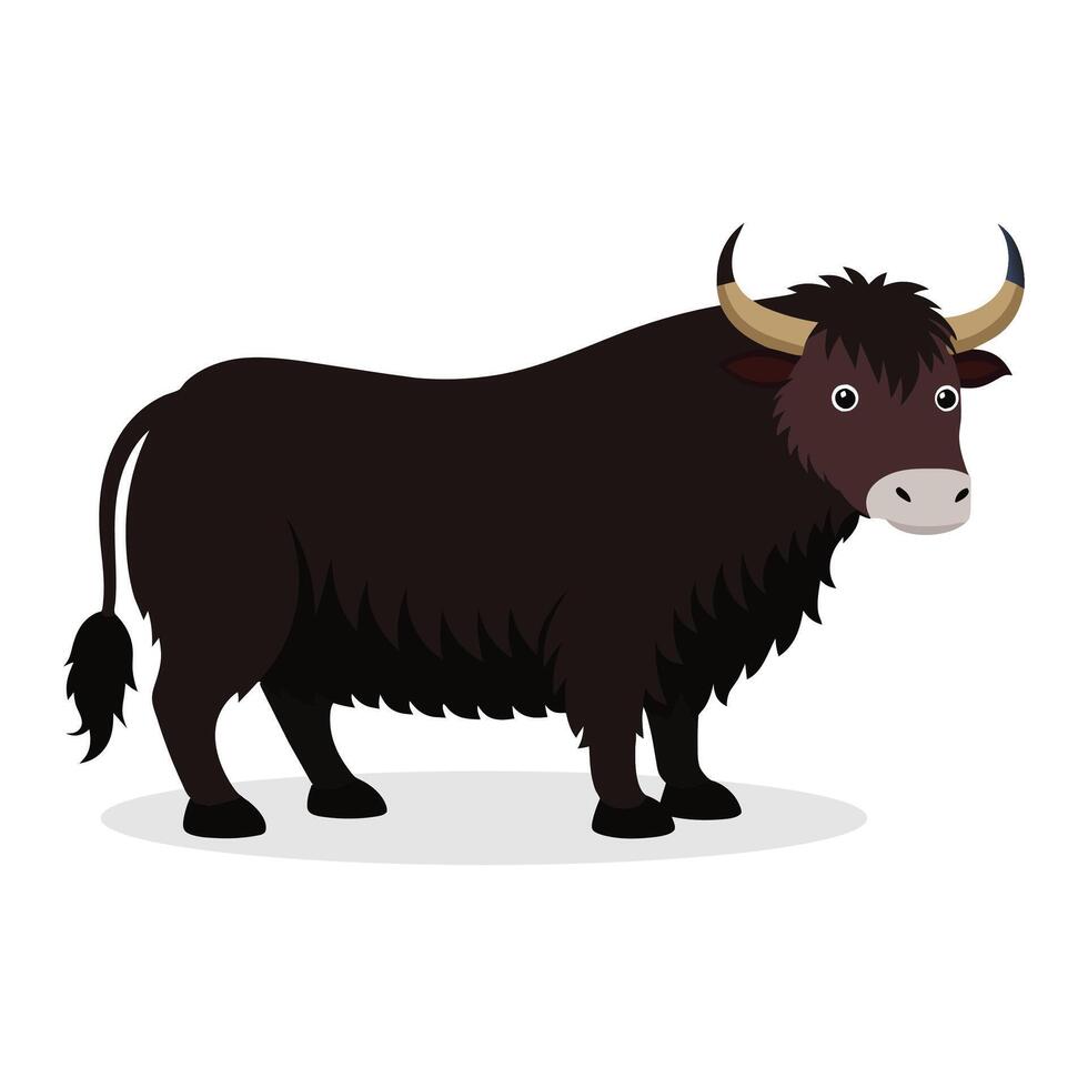 Yak animal flat villustration on white background. vector