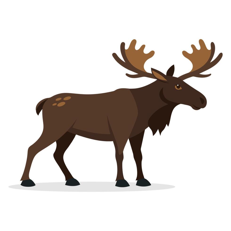 Moose animal flat illustration on white background vector