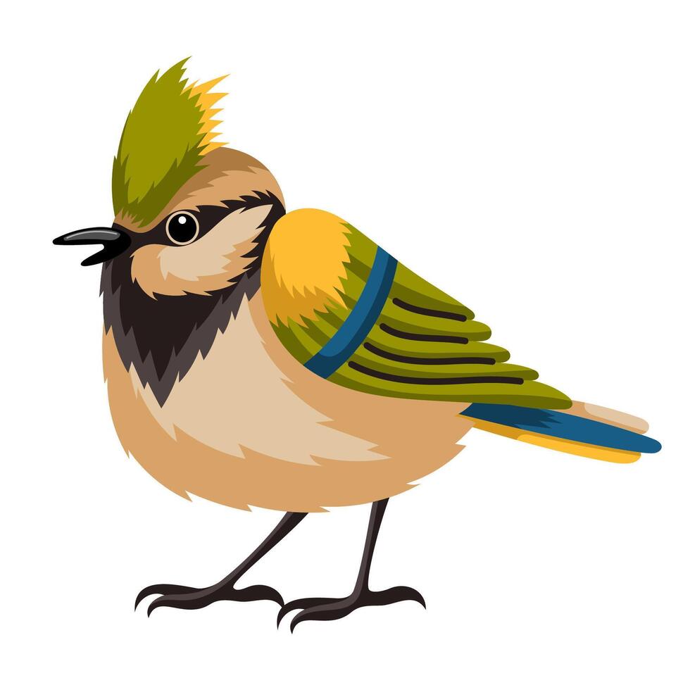 Bird with raised crest vector