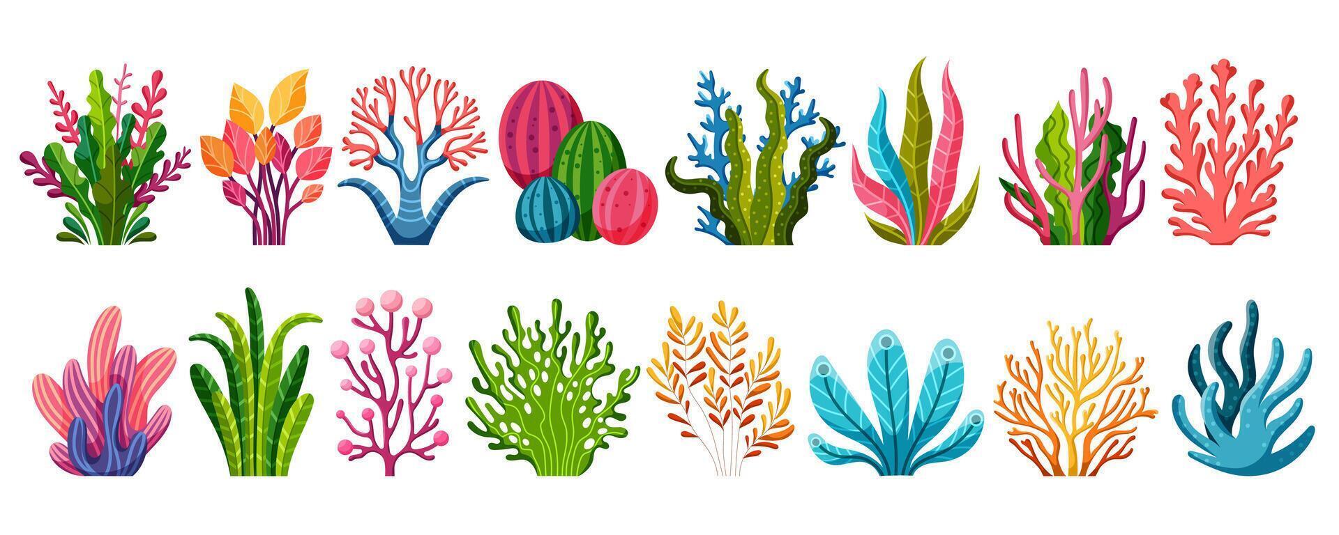 Collection of ocean plants vector