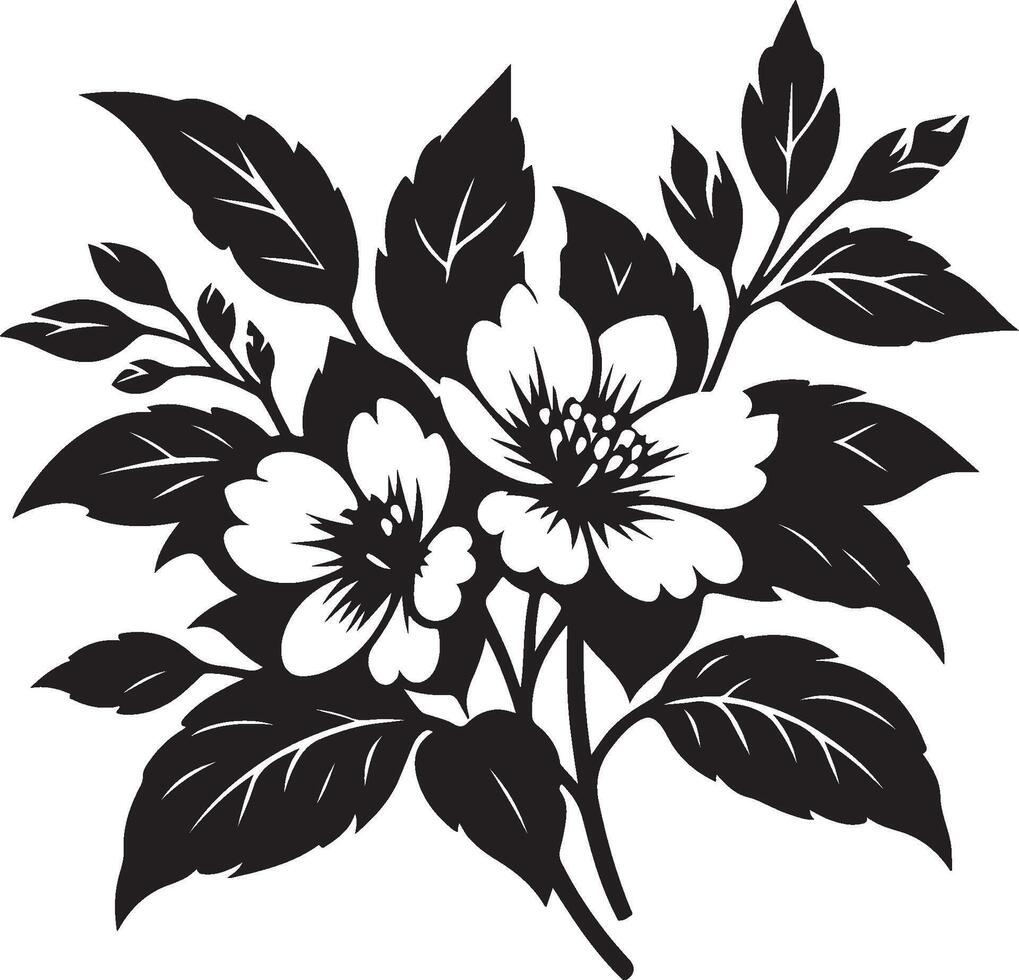 Jasmine Flower illustration 45590917 Vector Art at Vecteezy