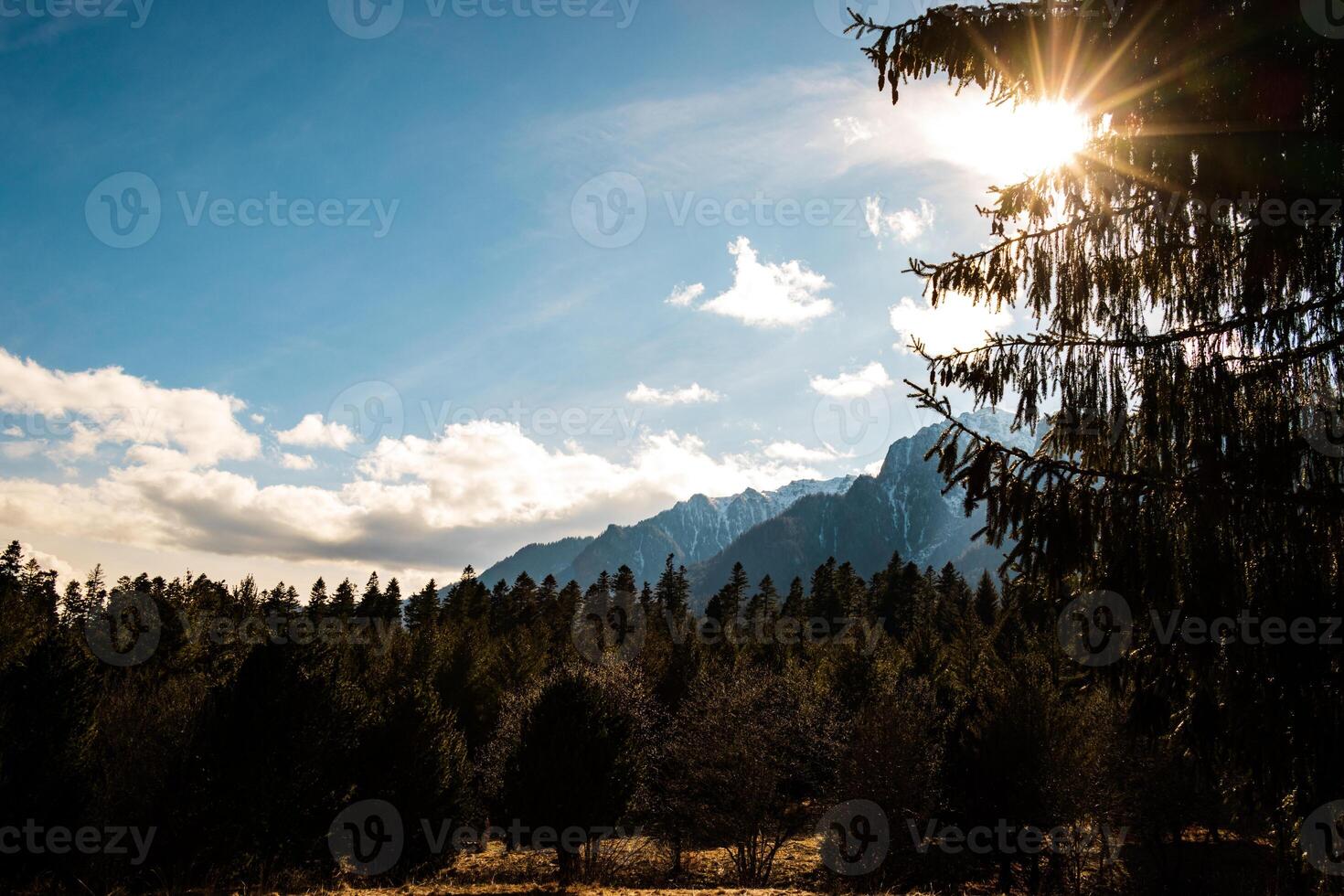 Landscape photo of gorgeous forest on a partial cloddy day
