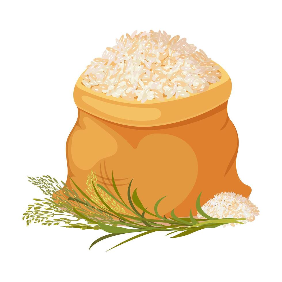 Bag full of rice. Harvest of grain crops with ears. Full container of basmati vector