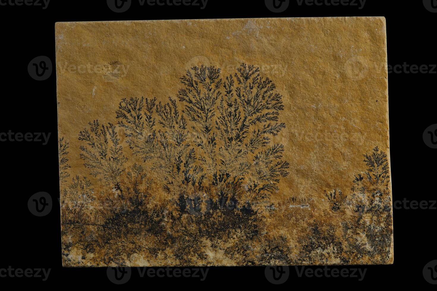 Dendrite crystallization on limestone photo