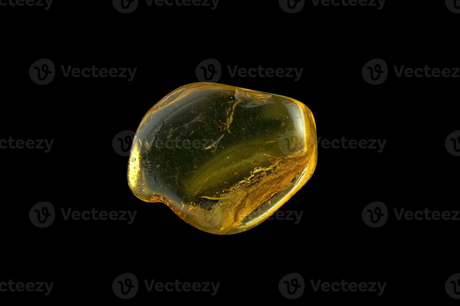 Amber, anchient insects within photo
