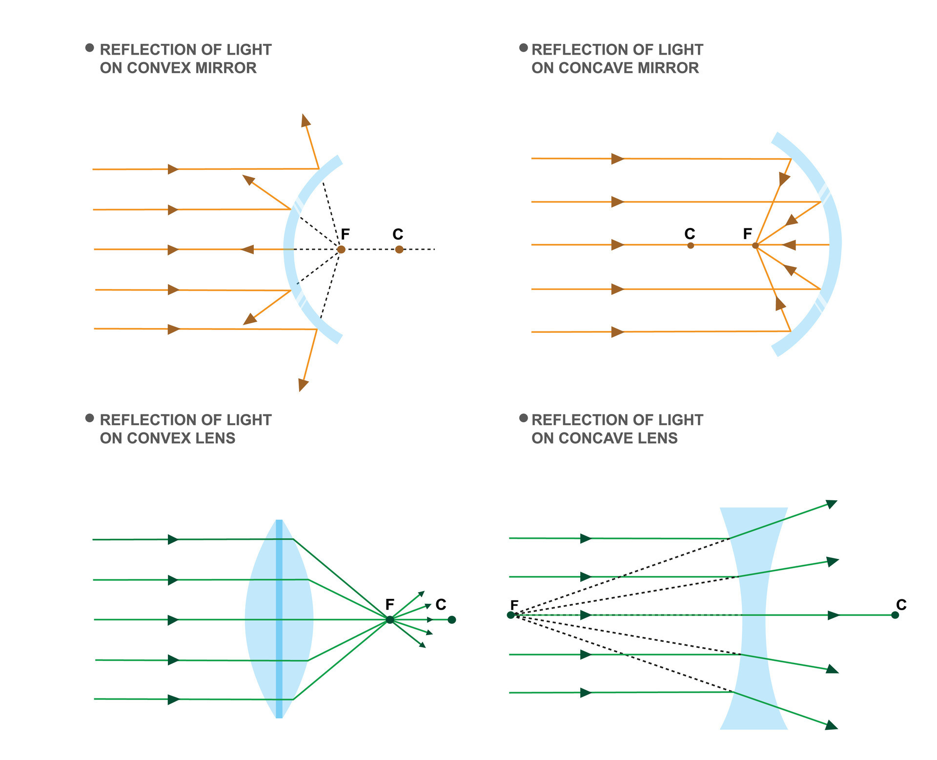 Concave mirrors converge light, where as convex mirrors diverge light 45591543 Vector Art at