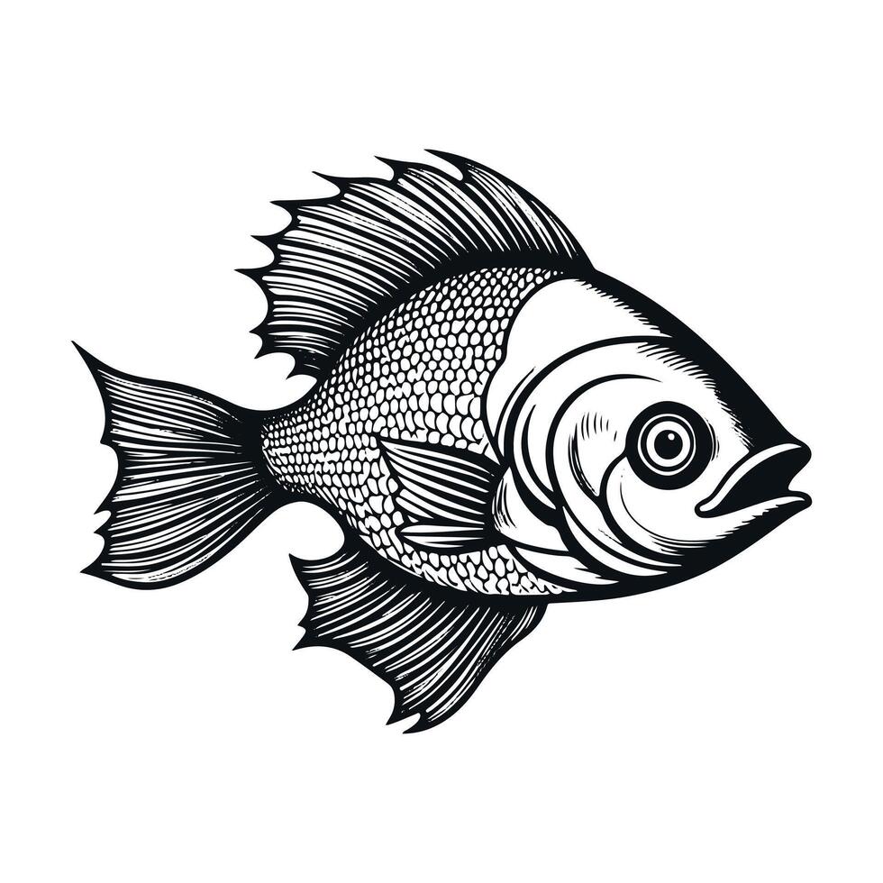 Fish illustration black and white collection. White background, Animals. vector