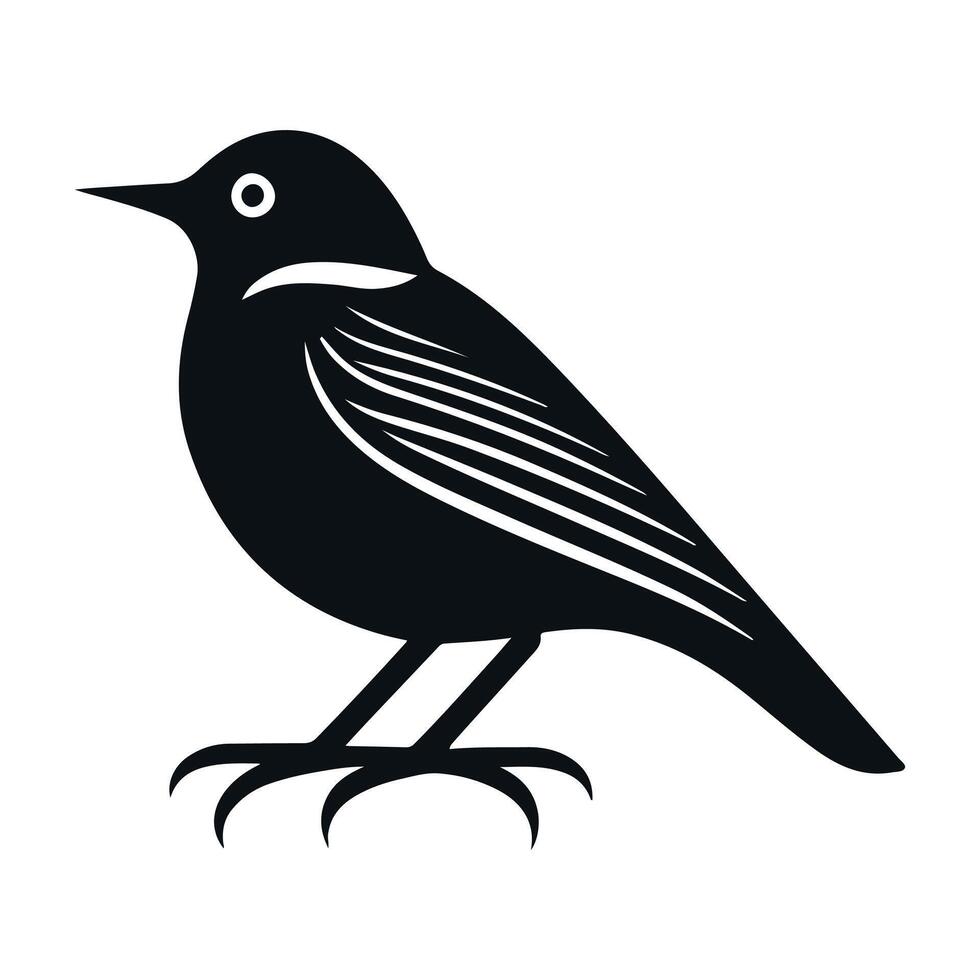 Cute bird black and white cartoon character design collection. White background, Animals. vector