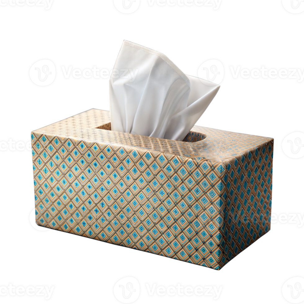 Elegant Tissue Box With Geometric Design in Natural Light on Transparent Background png