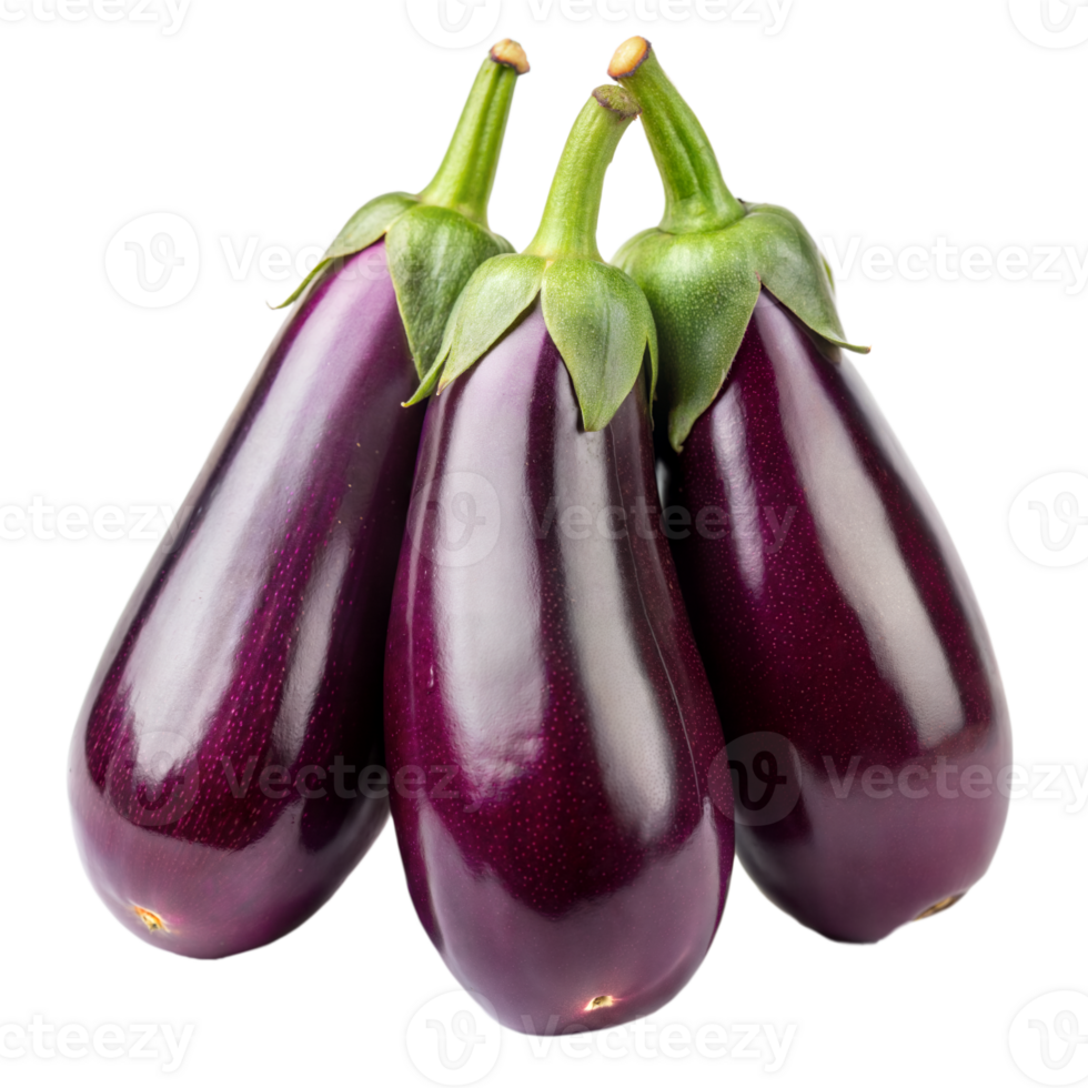 Fresh Purple Eggplants With Green Stems Against Transparent Background for High-Quality Image Use png