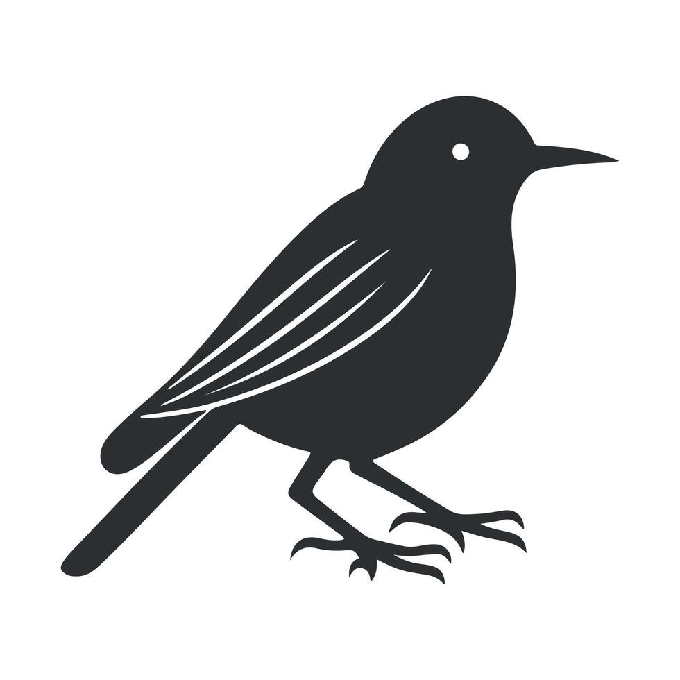 Cute bird black and white cartoon character design collection. White background, Animals. vector