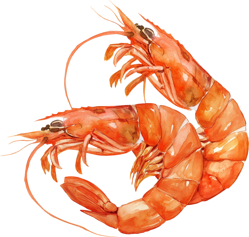 Sambal Prawn, prawns cooked in a spicy and savory chili paste png