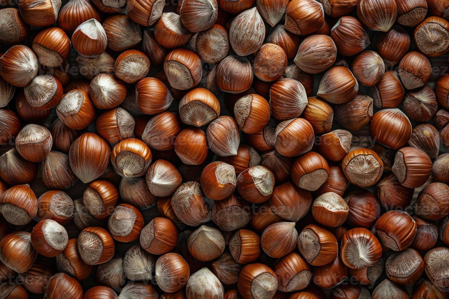 Closeup view of hazelnuts nuts background photo