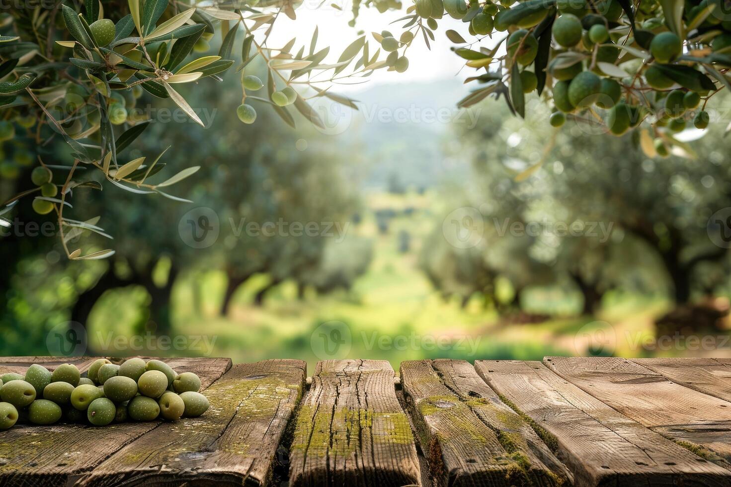 Empty old wooden table for product display with natural green olive field and green olives photo