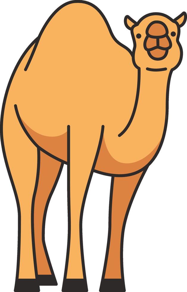 Cute camel illustration vector
