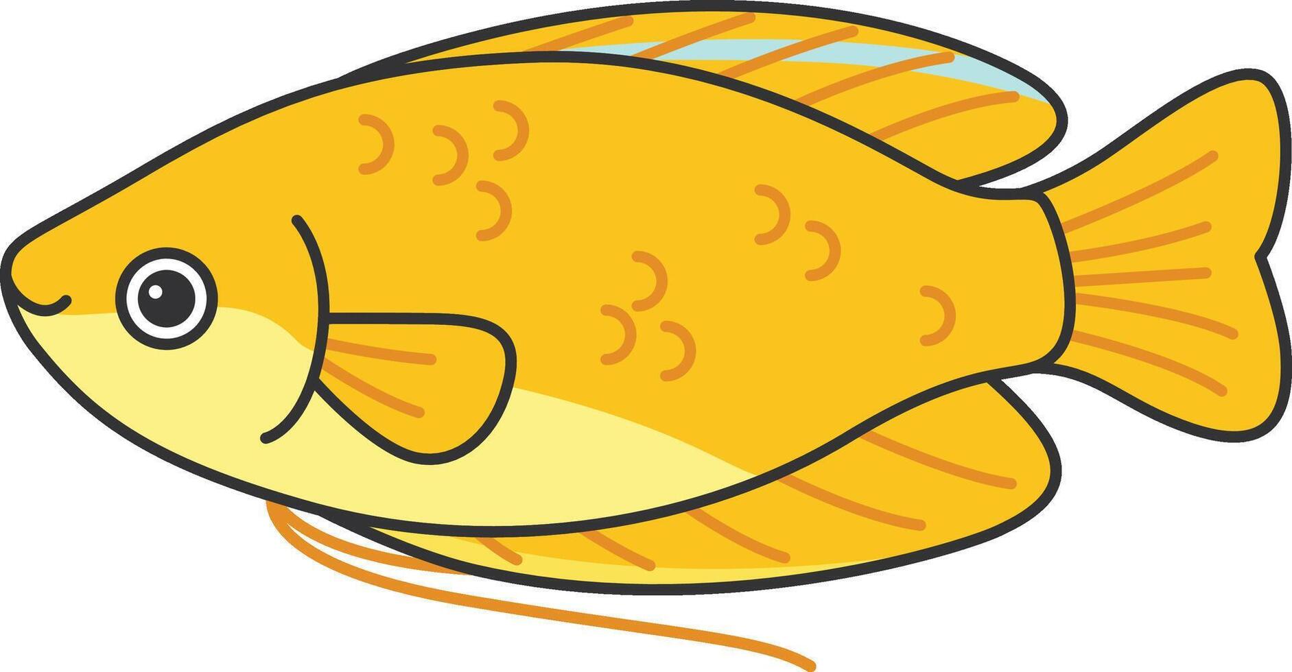 Golden honey gourami fish illustration vector