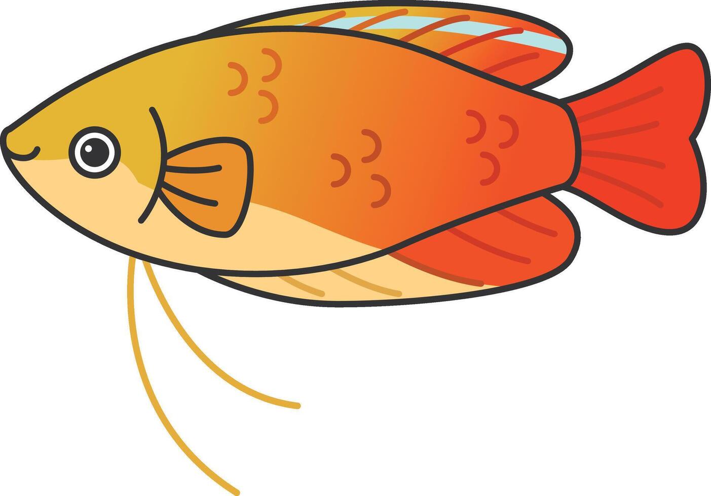 Golden honey gourami fish illustration vector