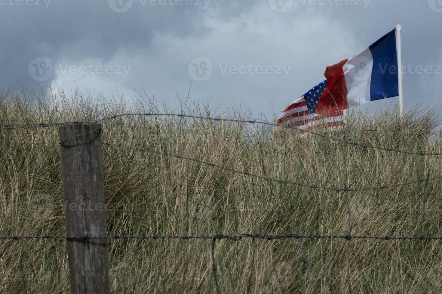 Normandy costal area of Utah beach beachgrass, barb wire, fence and flags photo