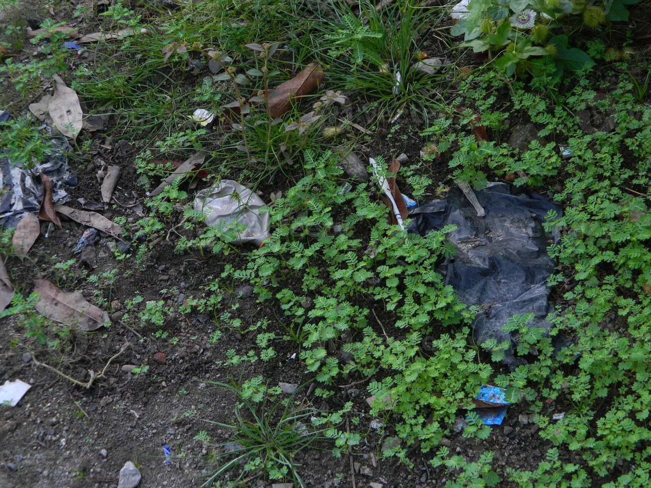 Waste that can damage the environment is often found in urban areas with poor waste management photo