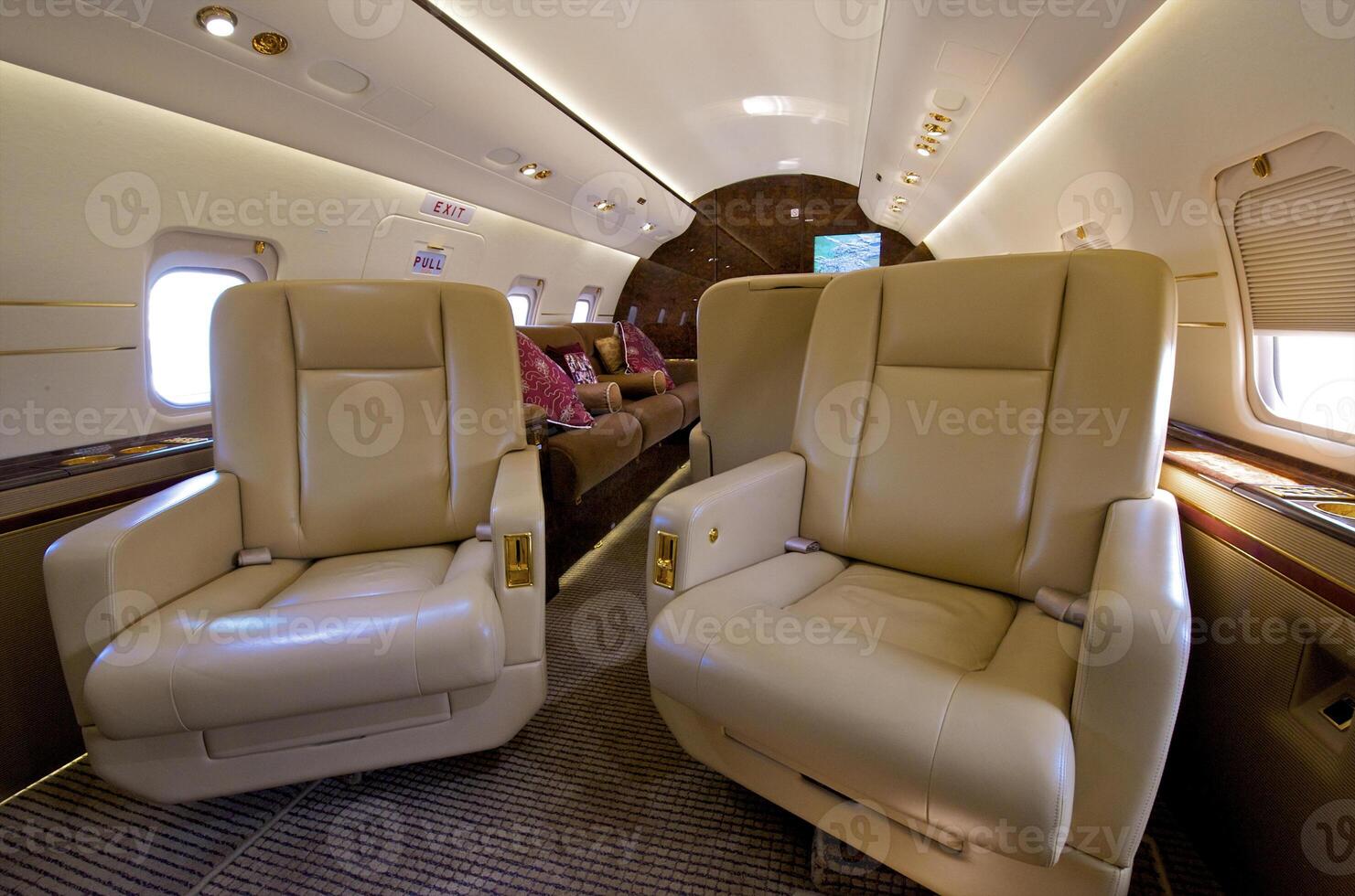 VIP Business Interior Jet Airplane photo