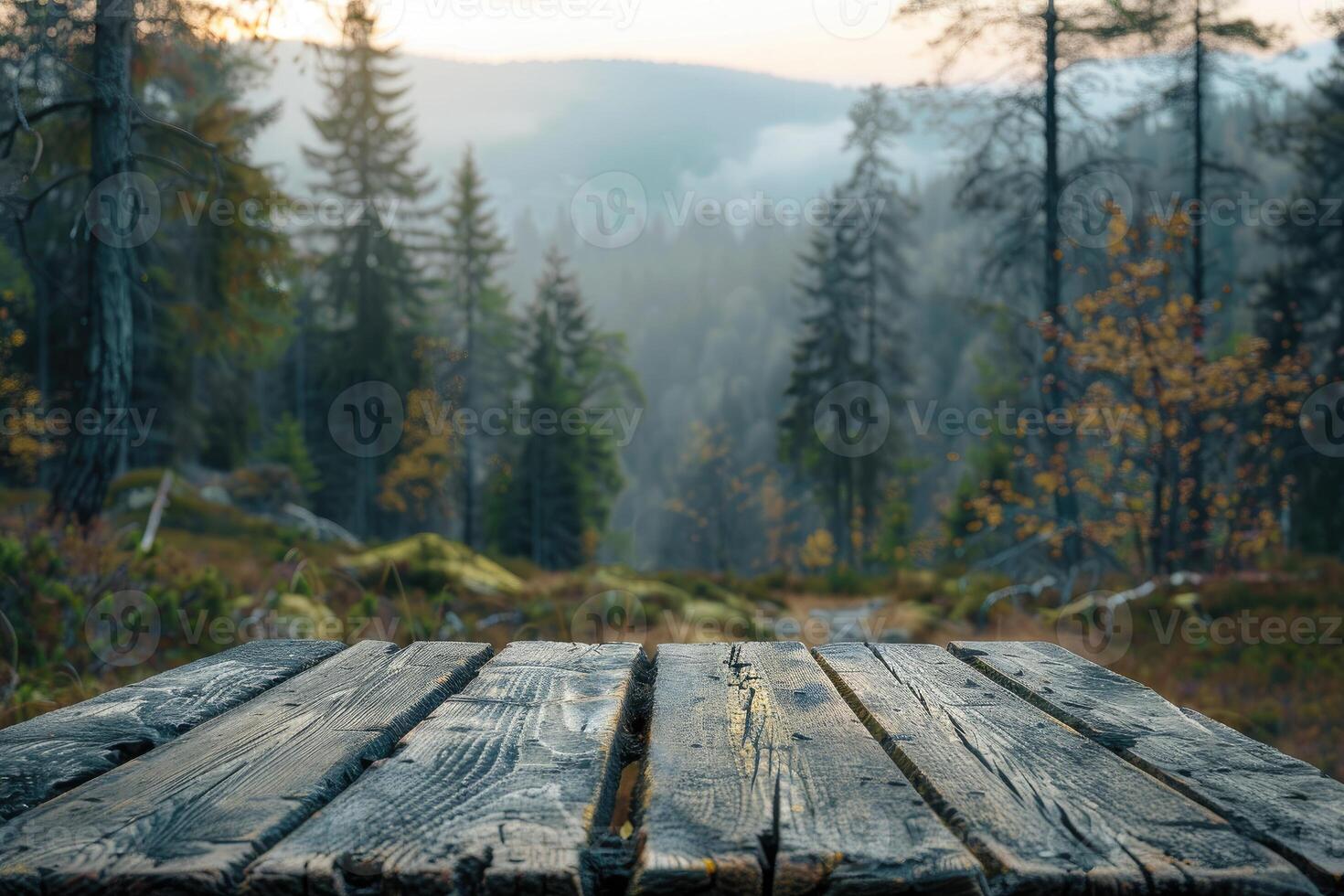 Background view of blurred pine forest with empty rustic wooden table for product mockup display. photo