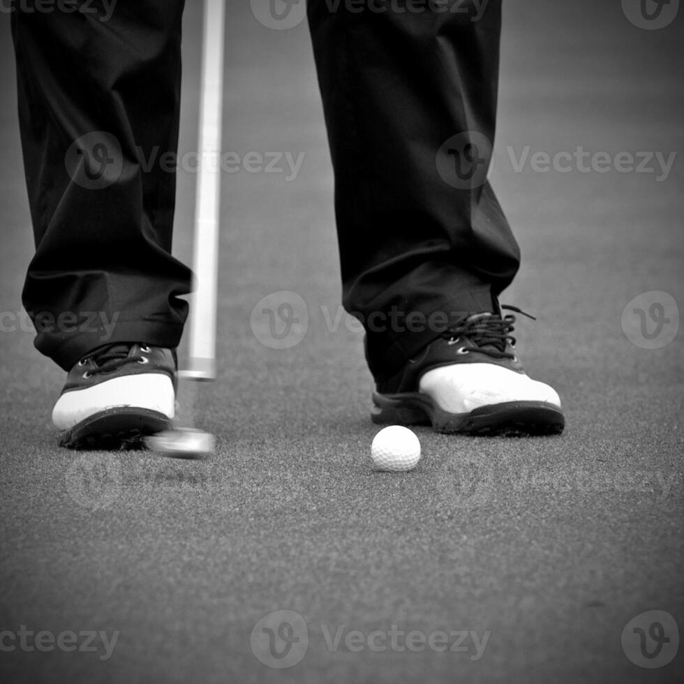 Game in the golf club against the background of the green juicy grass photo