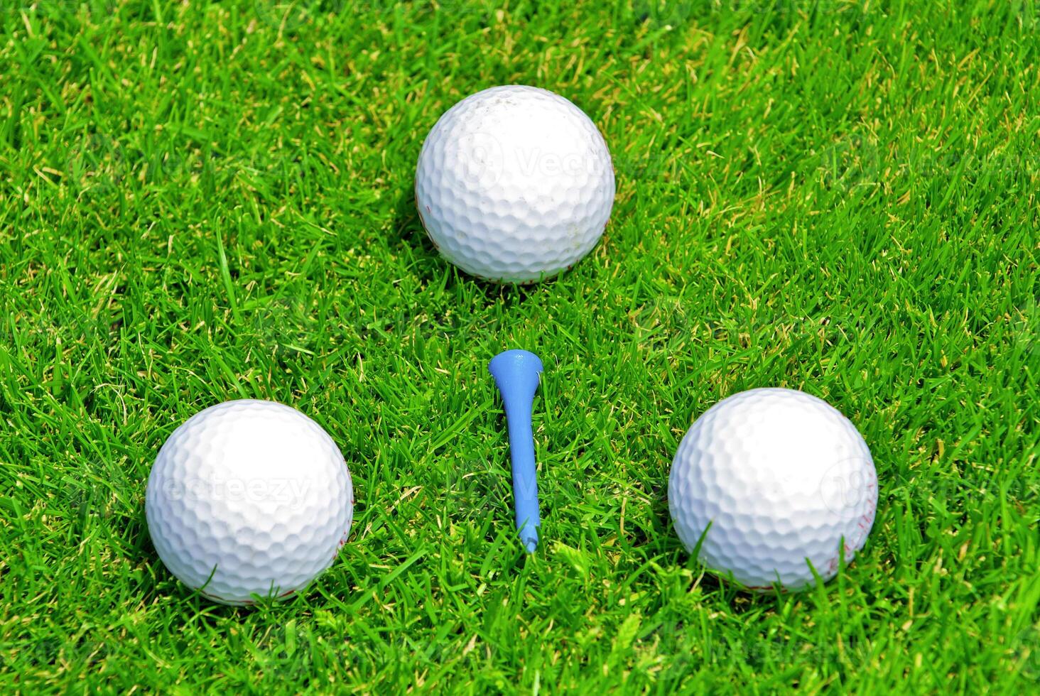 Game in the golf club against the background of the green juicy grass photo