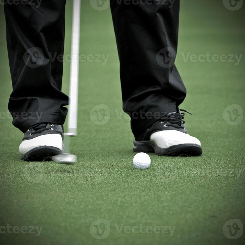 Game in the golf club against the background of the green juicy grass photo