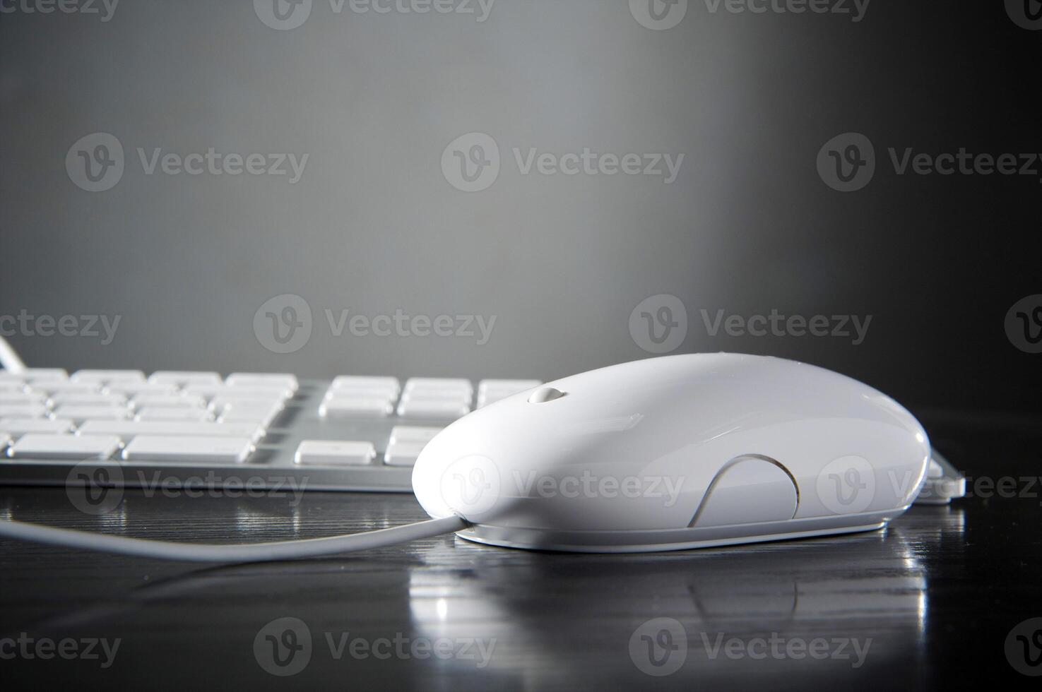 The white mouse and the keyboard for the computer photo
