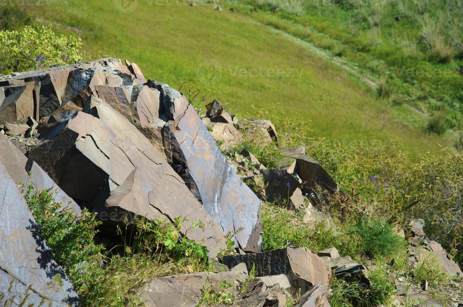 Petroglyphs within the Archaeological Landscape of Tamgaly. Almaty area, Kazakhstan photo