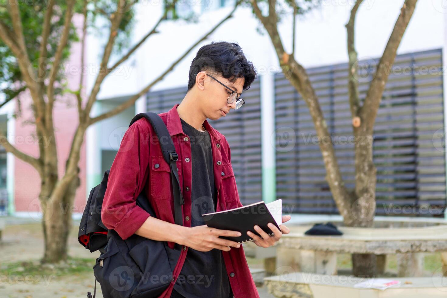 Asian college student reading a book at the campus park. photo