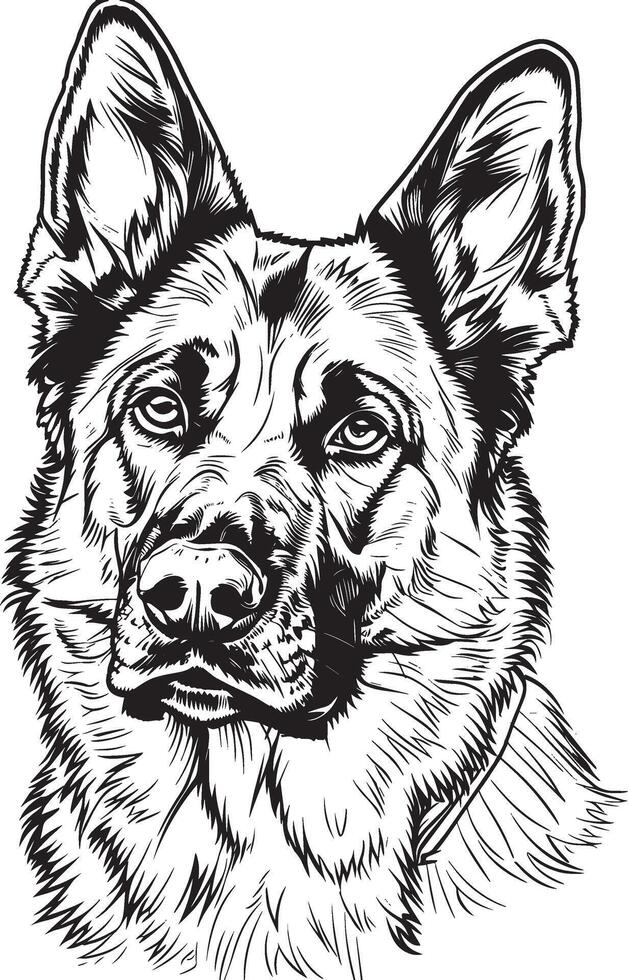 German Shepherd silhouette vector