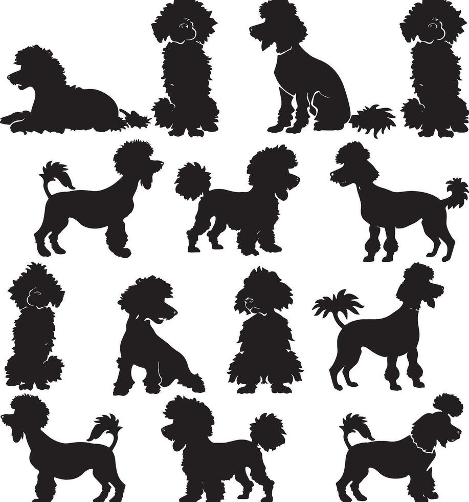 poodle silhouette vecto vector
