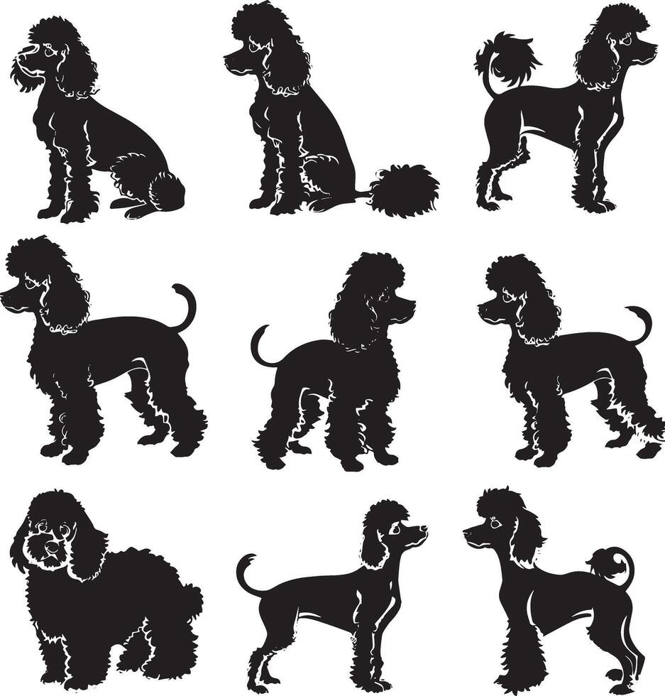 poodle silhouette vecto vector