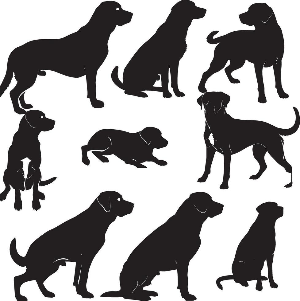 Labrador Retriever silhouette vector