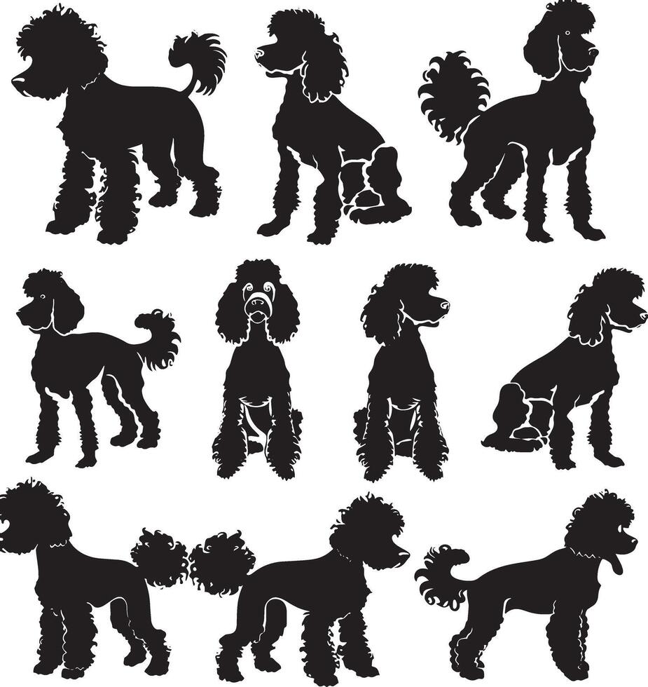 poodle silhouette vecto vector