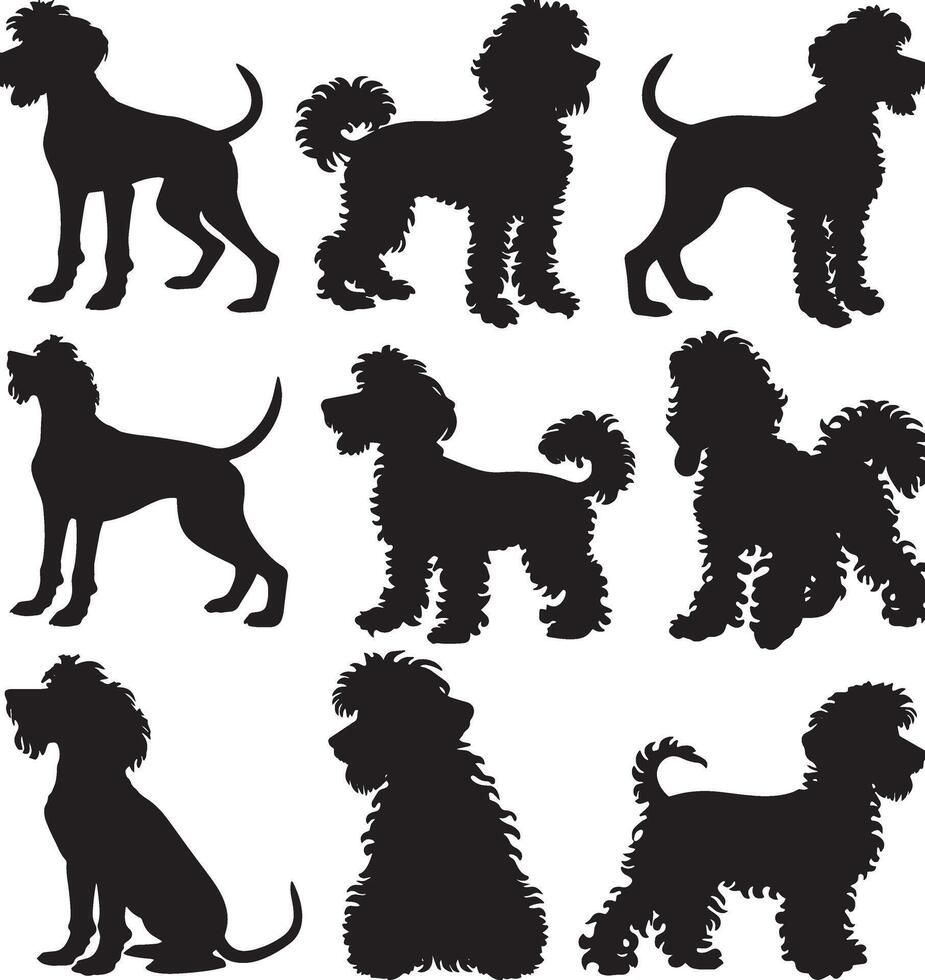 poodle silhouette vecto vector