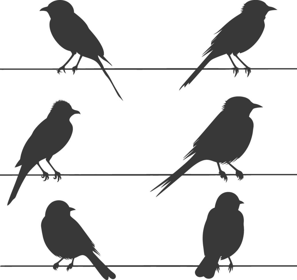 Silhouette birds on wire black color only vector