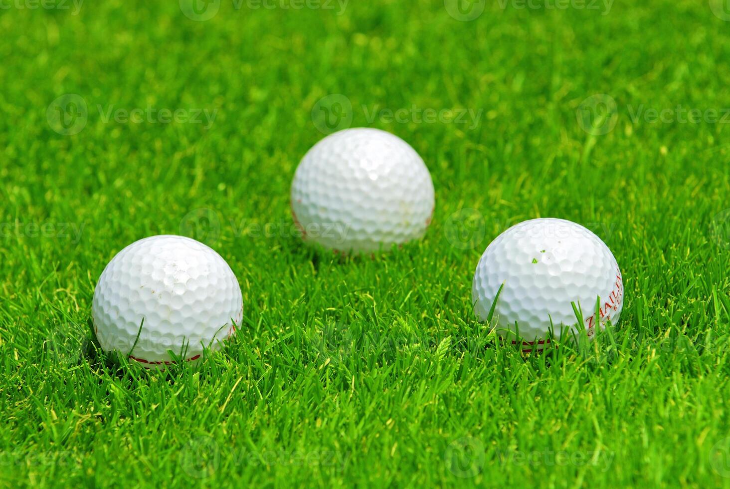 Game in the golf club against the background of the green juicy grass photo