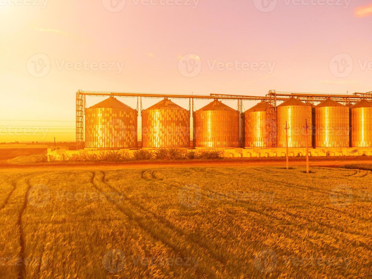 Grain silos on a green field background with warm sunset light. Grain elevator. Metal grain elevator in agricultural zone. Agriculture storage for harvest. Aerial view of agricultural factory. Nobody. photo